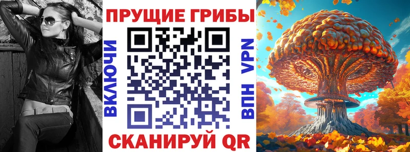 Псилоцибиновые грибы Psilocybine cubensis  мориарти клад  Спасск 