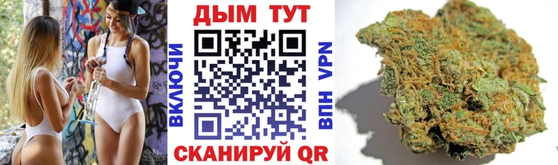 закладка  Спасск  Конопля планчик 